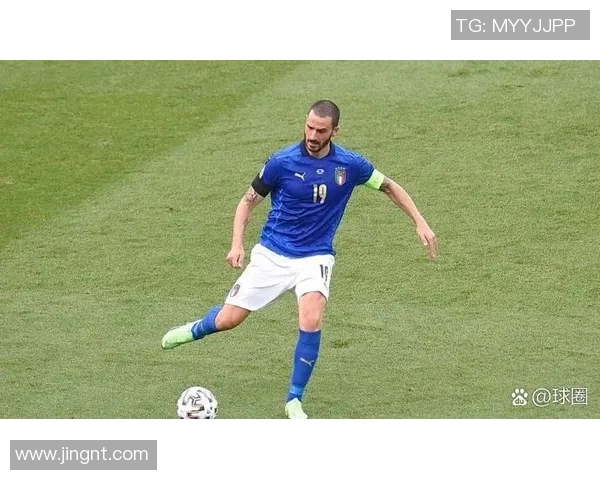 回顾2009年意大利足球明星的辉煌成就与传奇瞬间