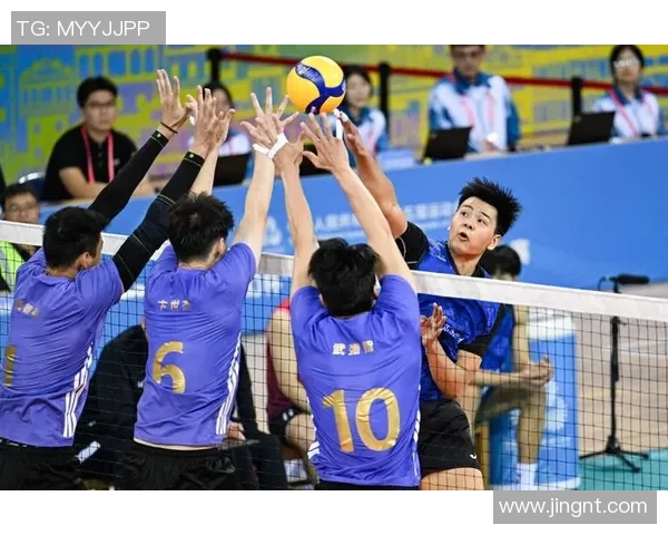 上海排球队实力飙升再创新高引领全国排球新格局