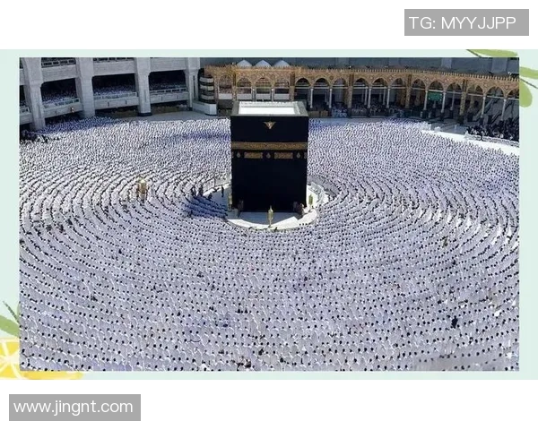 足球明星与古代蚂蚁的奇妙结合探索他们在历史与现代的交汇点